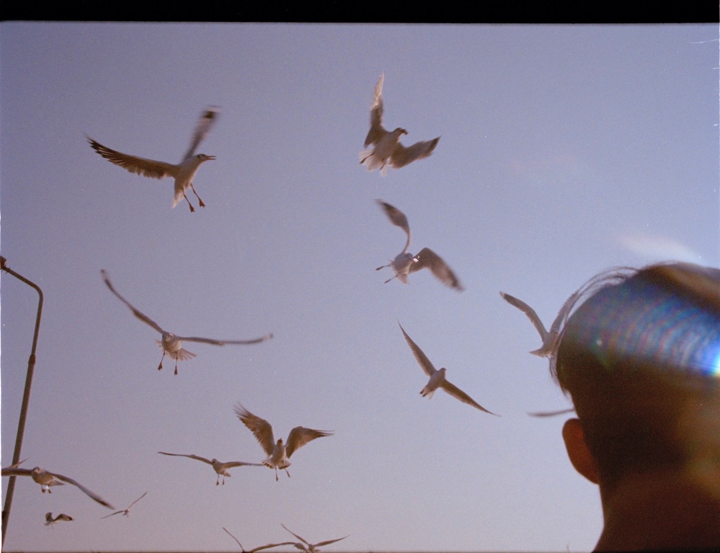 Yoko Kusano 「The Body That Knows Direction」